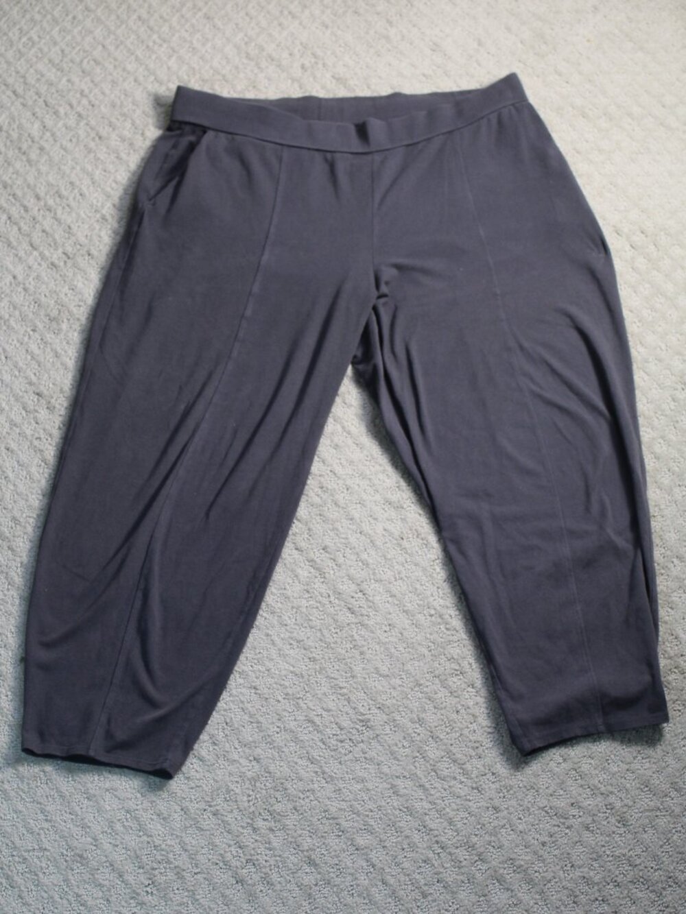 Eileen Fisher Size L Gray Casual Pull On Stretchy Ankle Pants with Pockets